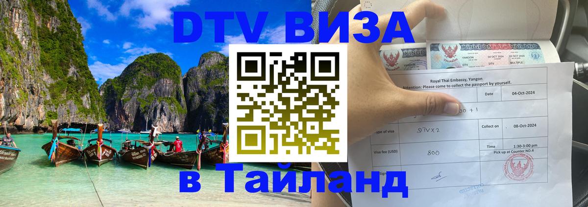 Оформление DTV визы под ключ: стоимость и тарифы, только загранпаспорт - Сургут 